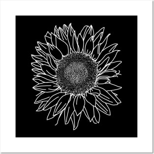 Sunflower White Line Drawing Posters and Art